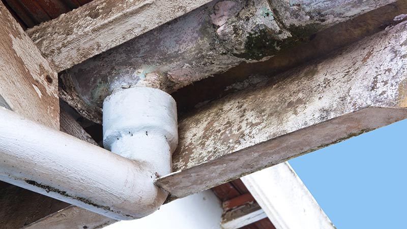 Asbestos found while preforming home inspection services 